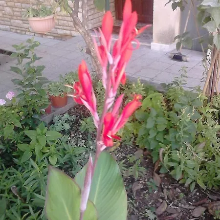 With Parking Space - Diklo, - 13327 *