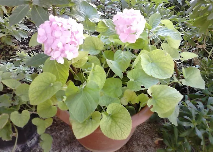 With Parking Space - Diklo - 13327 זאדאר