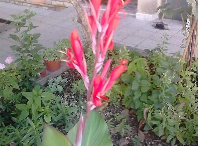 With Parking Space - Diklo - 13327 *